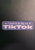 I used to be big on Tik Tok